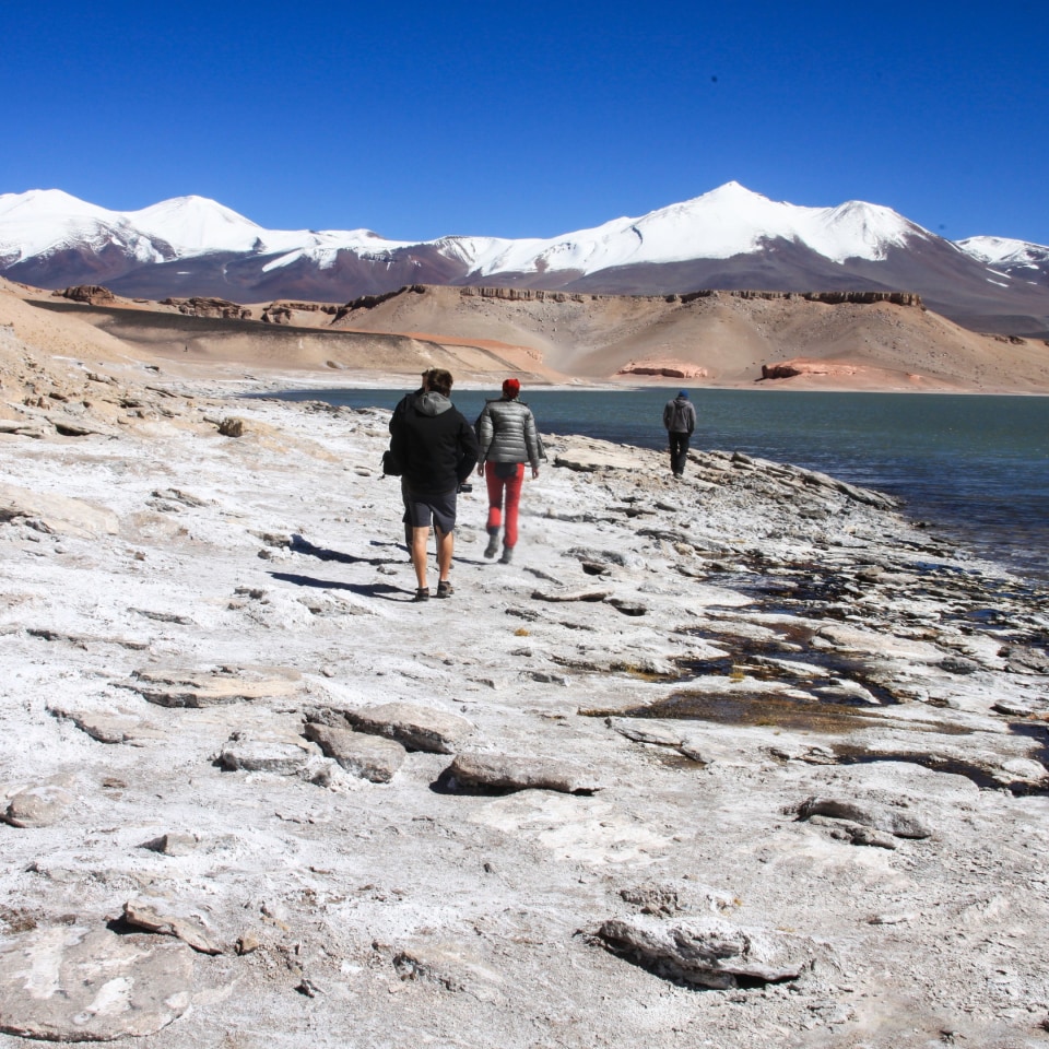 Ojos del Salado (6.893 m) Expedition - Kurztour