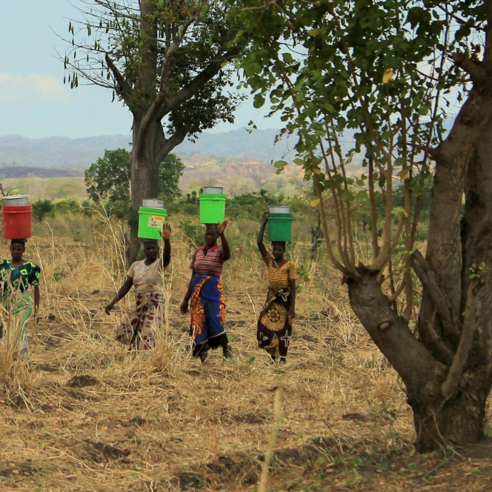 Safari Wildnis Tansania