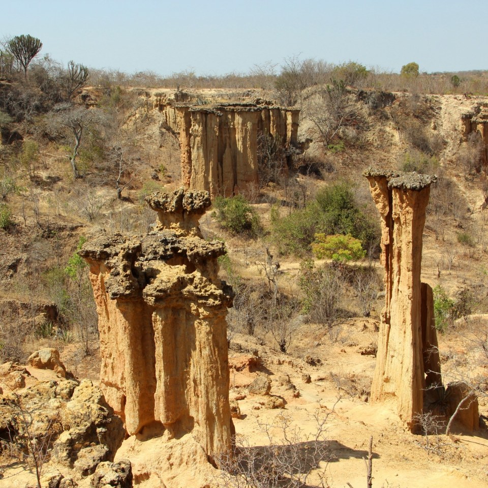 Stehlen Udzungwa Mountains