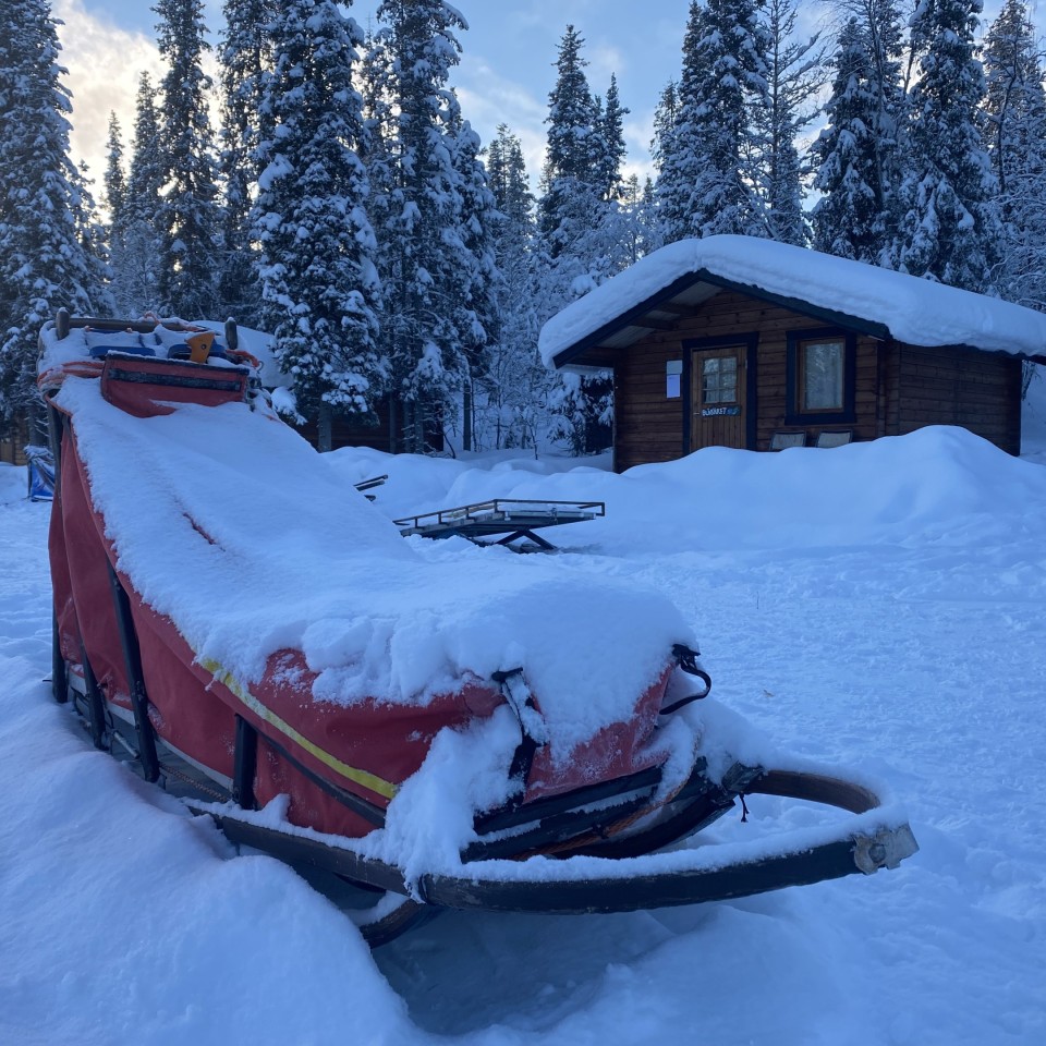 Hundeschlitten vor einer Blockhütte