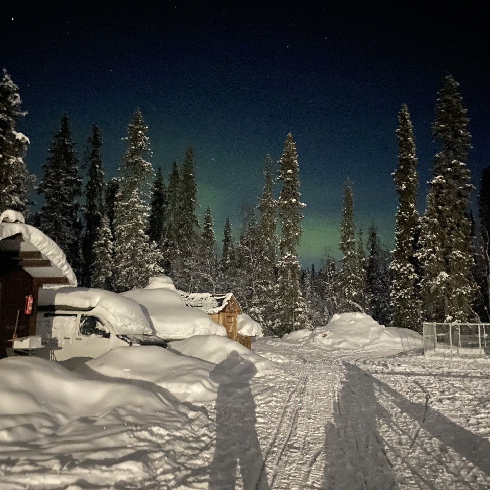 Polarlicht im Husky Cannel