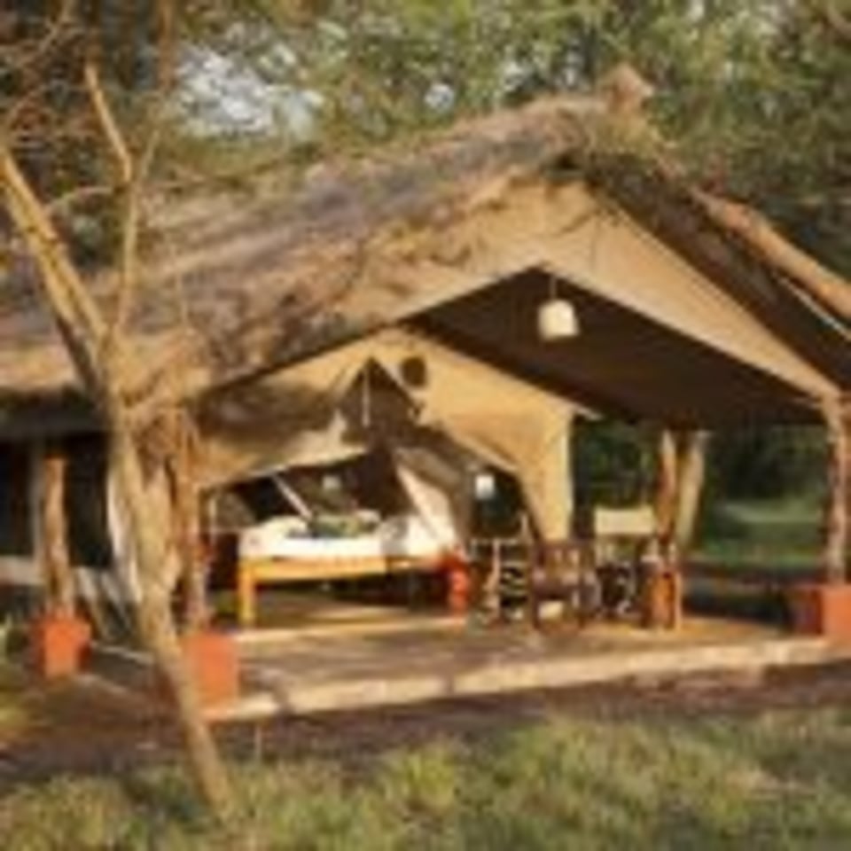 Ikoma Safari Camp – Moivaro