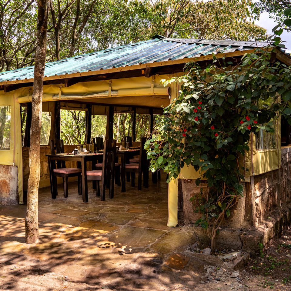 Mara Big Five Camp Kenia Esszelt