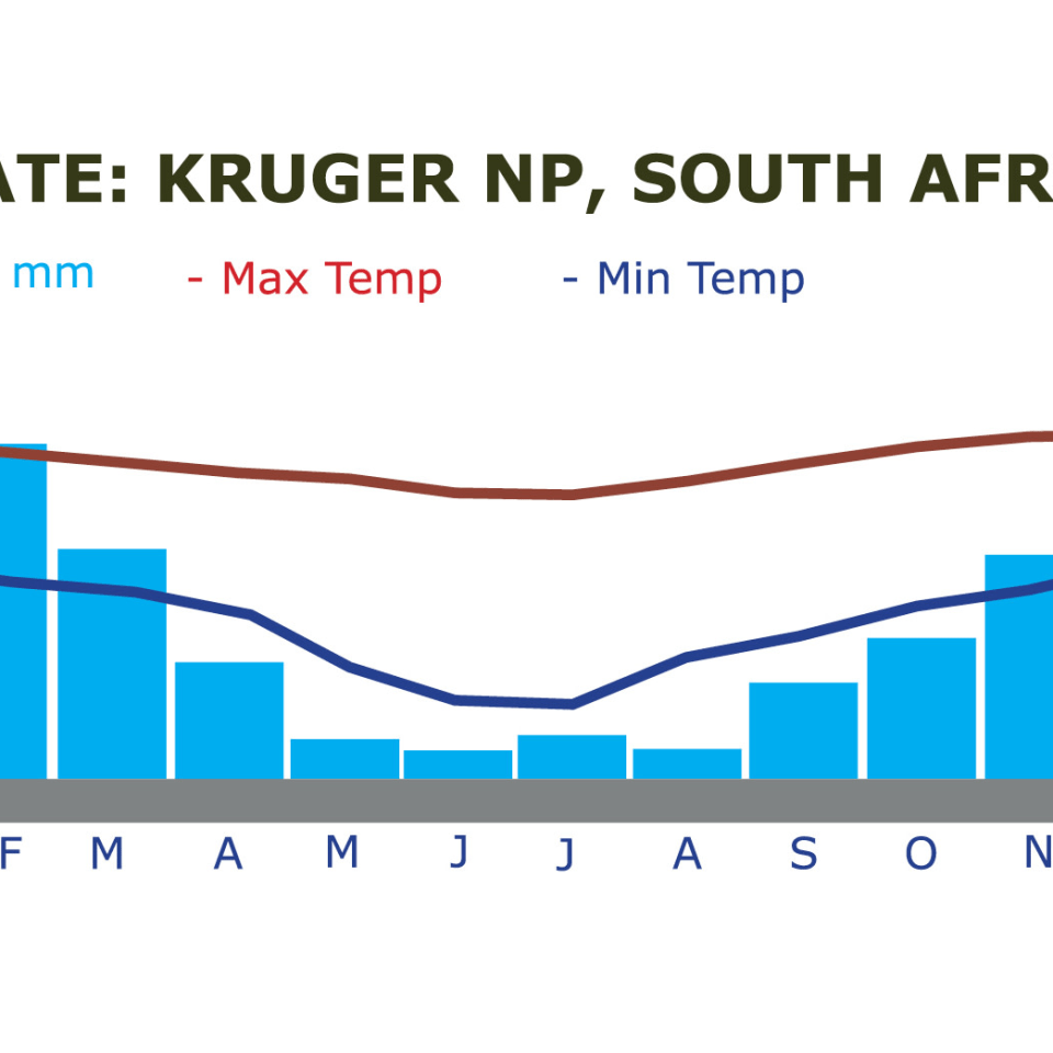 Camping-Safari im wilden Botswana
