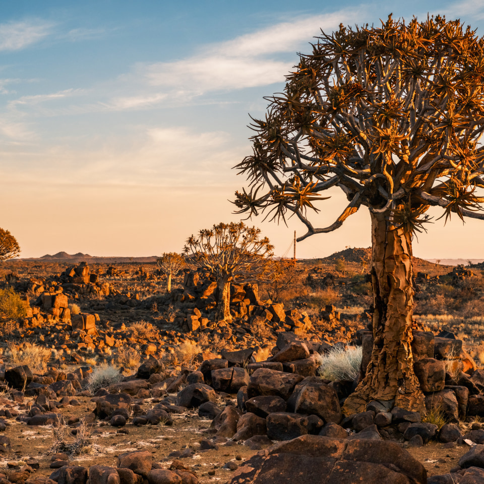 Roadtrip im Süd-Westen Namibias