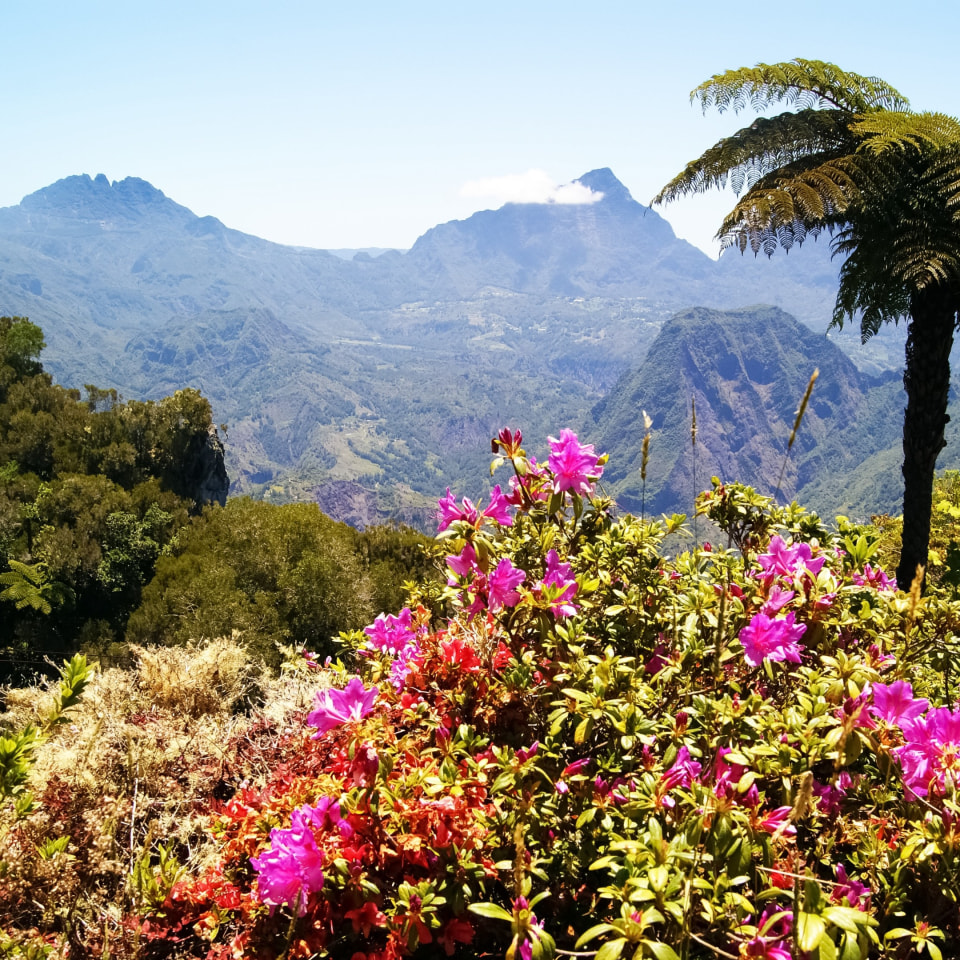 Gruppenreise auf La Réunion und Baden auf Mauritius 