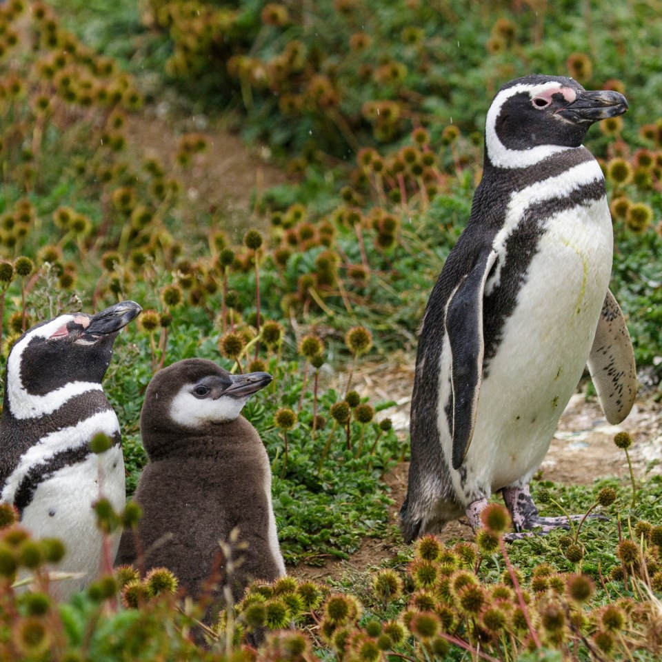 Trekkingabenteuer im Land der Extreme