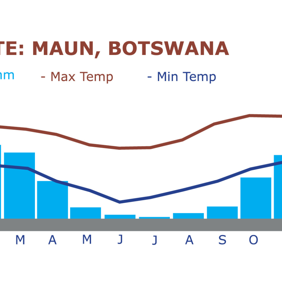 3-Länder Traumsafari