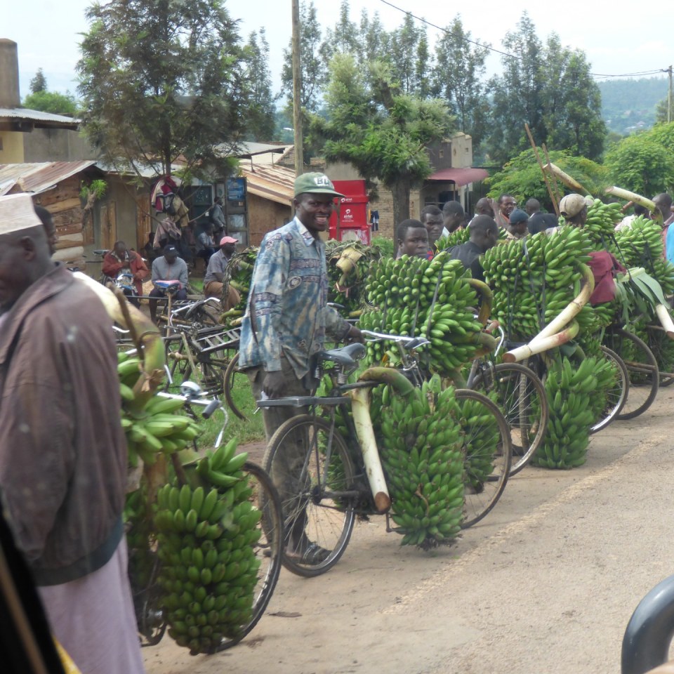 Bananenverkauf in Uganda
