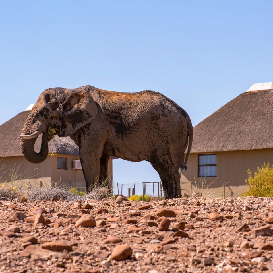 Faszination Namibia - die Highlights mit dem Mietwagen entdecken