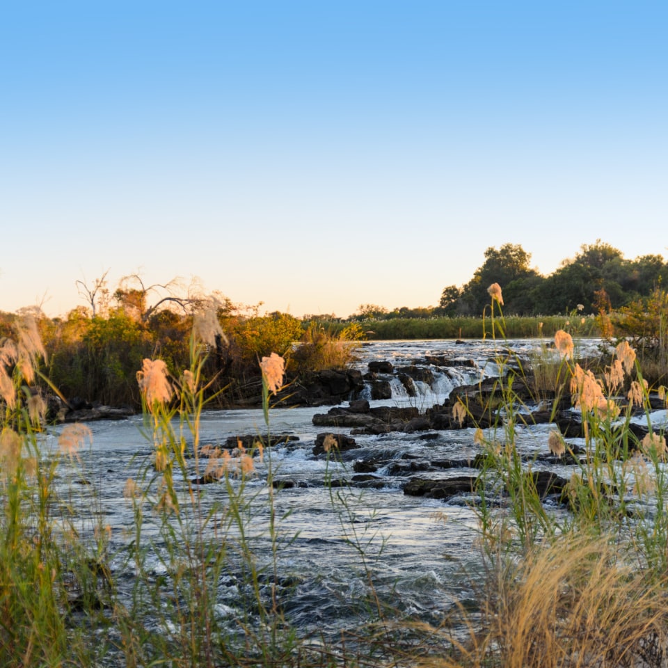 Namibias  & Botswanas Naturwunder und Safaris
