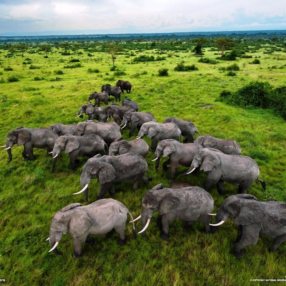 MWR EXKLUSIV Ruwenzori Besteigung & Berggorillas 01.-15.08.26