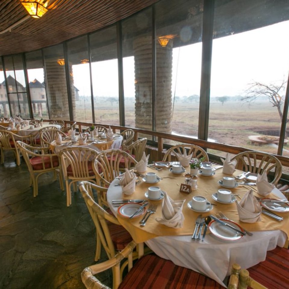 Salt Lick Lodge