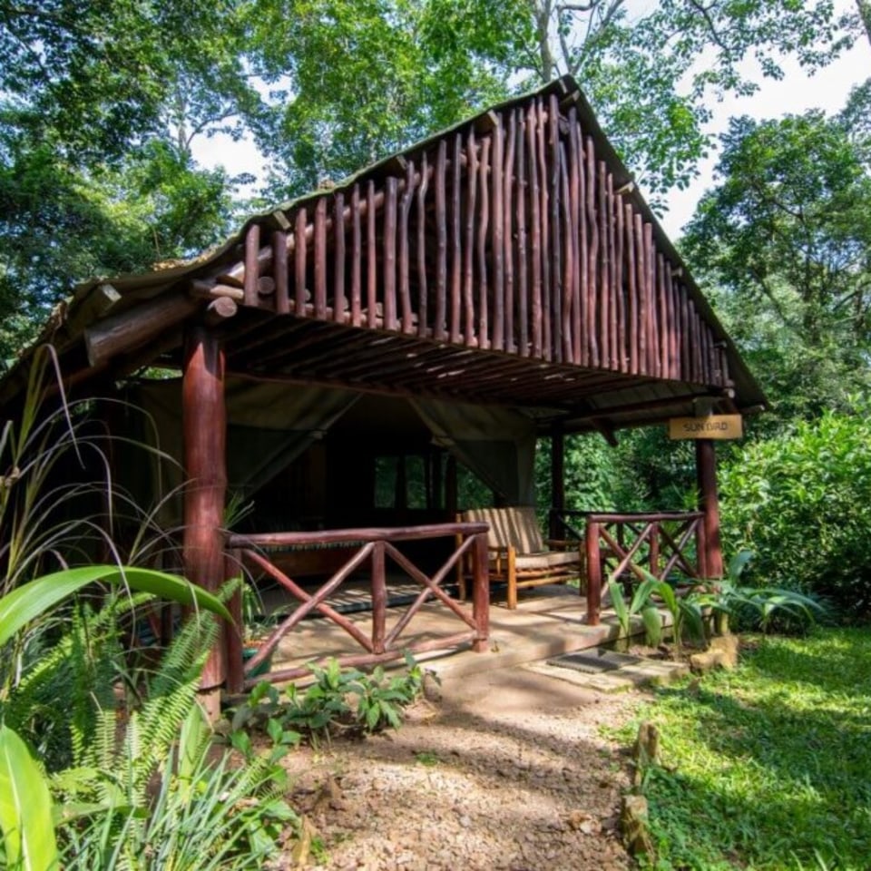 Kibale Forest Camp