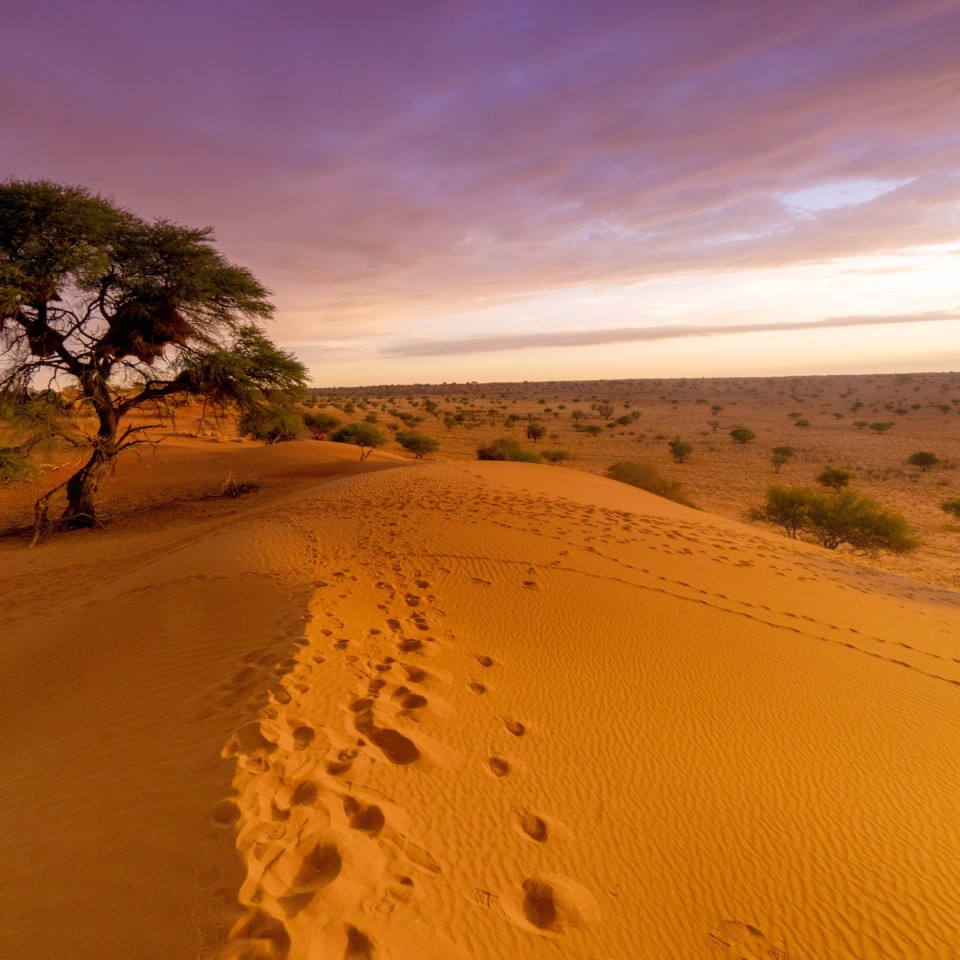 Roadtrip im Süd-Westen Namibias