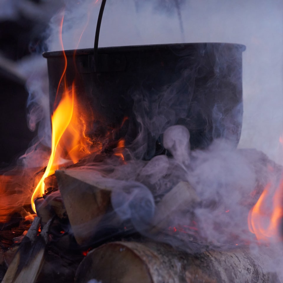 Huskyspuren im Reisa-Tal