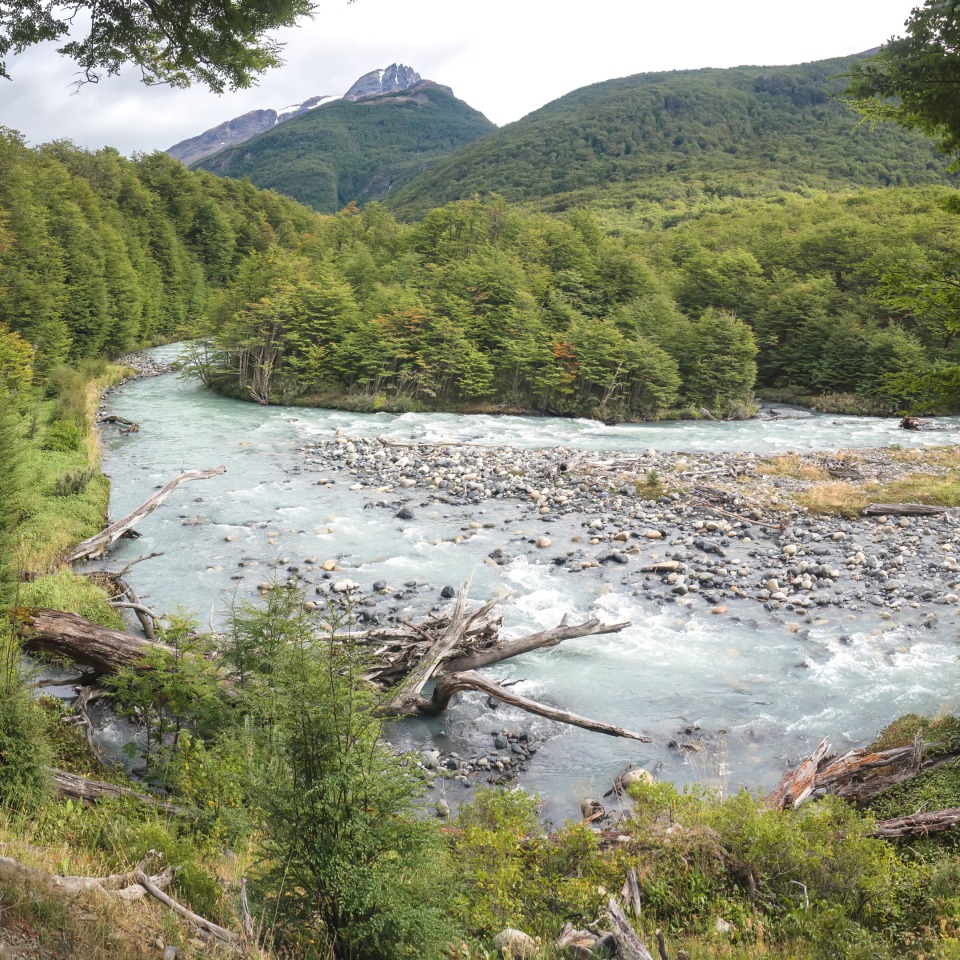 Auf wilden Pfaden durch das Land am Ende der Welt