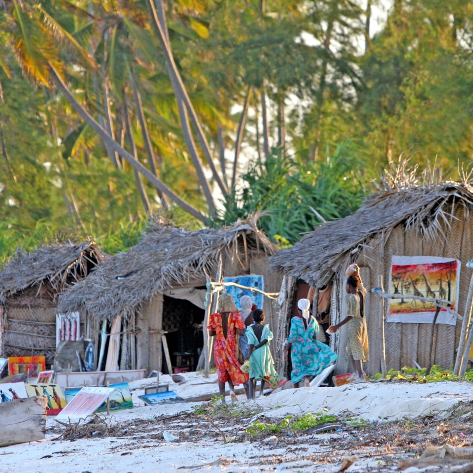 Schimpansen am Tanganjikasee & Rote Colobusaffen auf Sansibar