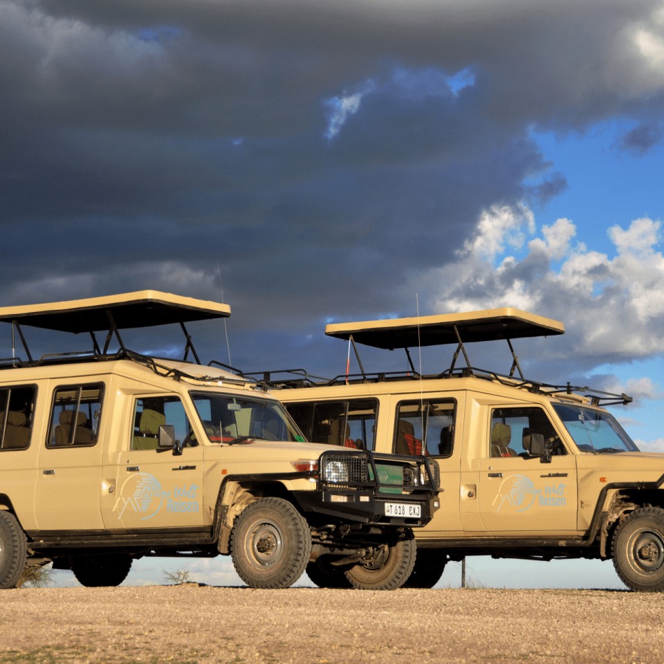 klassiker-safari-sansibar-meineweltreisen