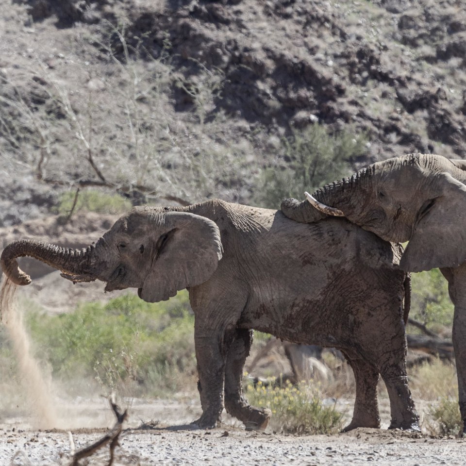 Twyfelfontein Adventure Camp