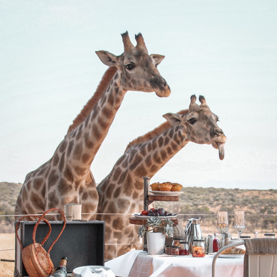 Voigtland Guesthouse