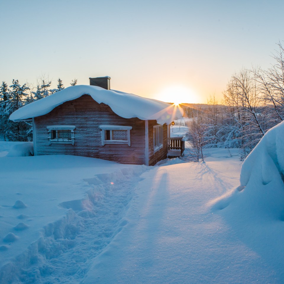 Wildnishütte Finnland