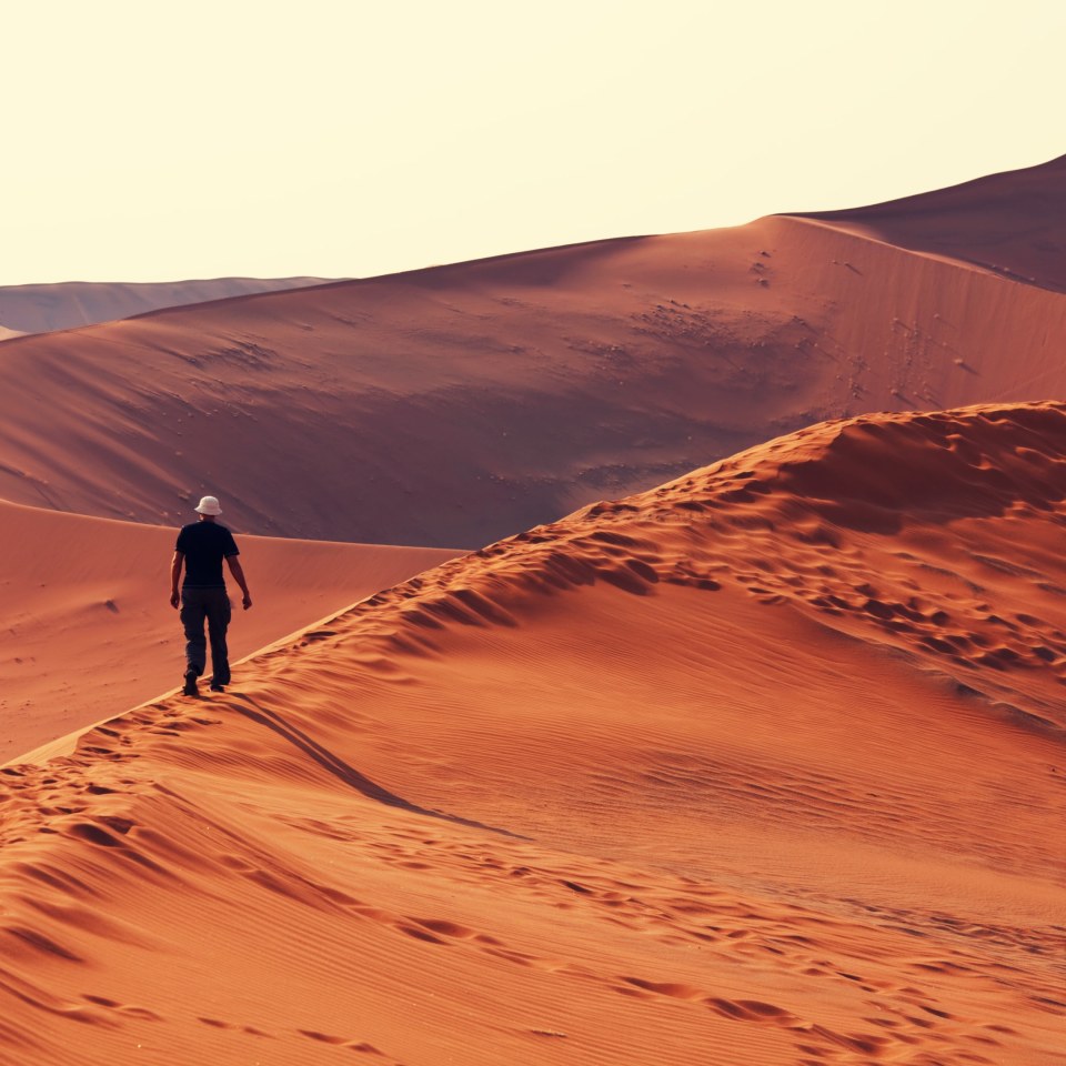 Namibias Naturwunder bis zu den Viktoriafällen