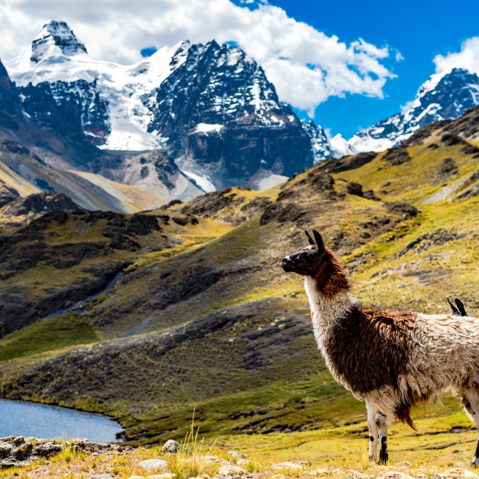 Boliviens schönste Gipfel
