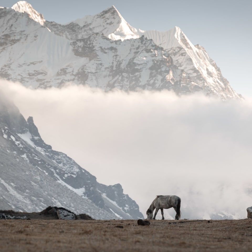 Kangchendzönga Base Camp Trek mit Drohmo Ri East Besteigung (5.958 m)