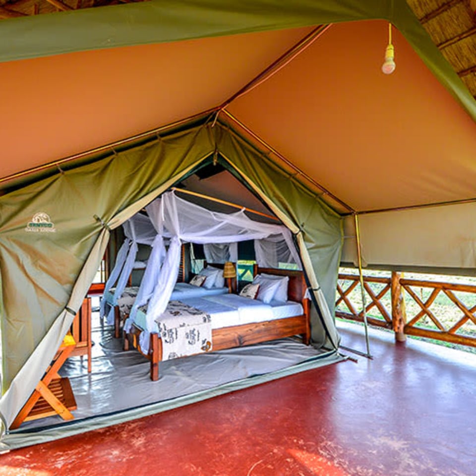 Twiga Safari Lodge