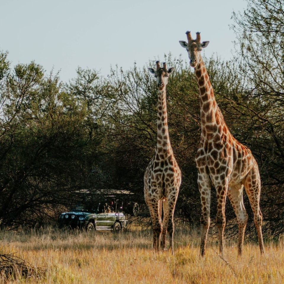 AfriCamps Waterberg