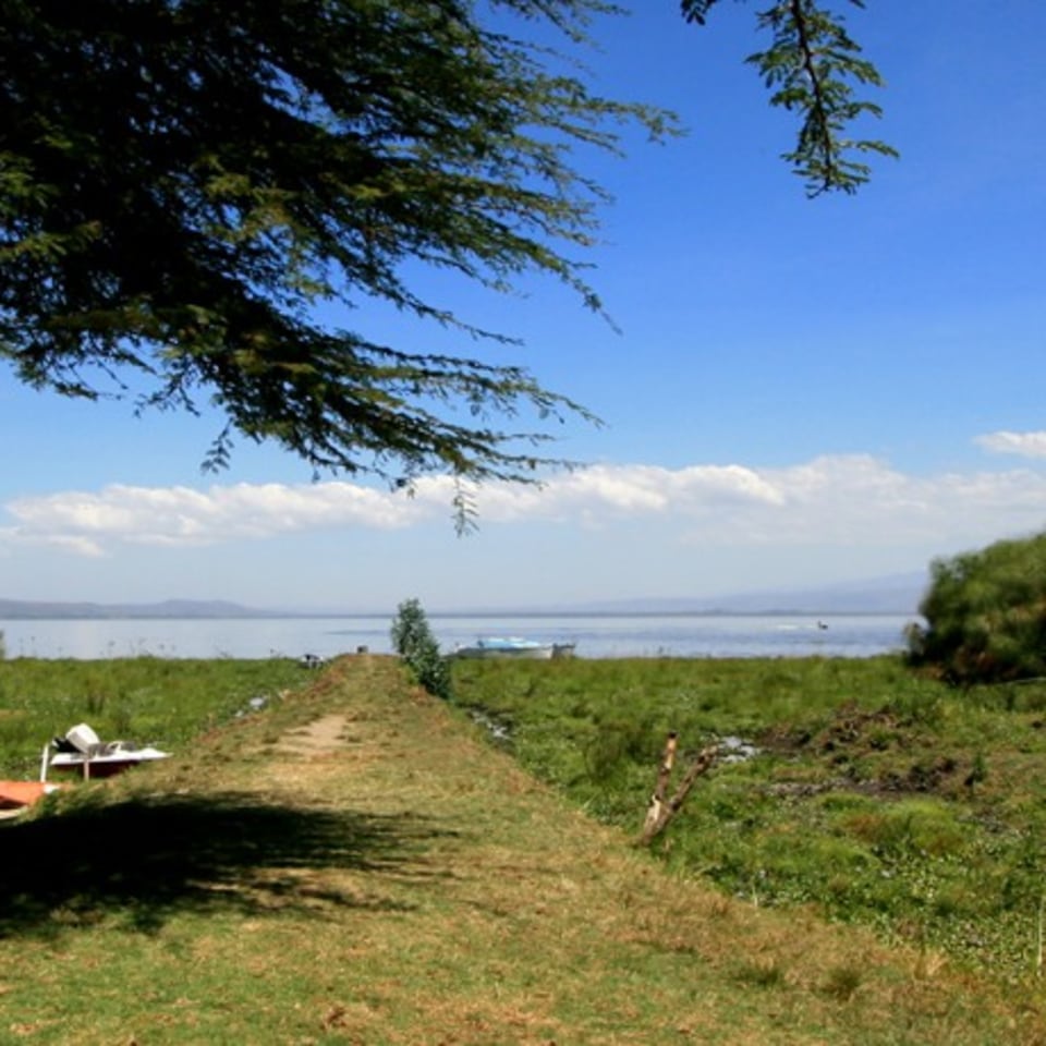 camp-carnelleys-aussicht.jfif