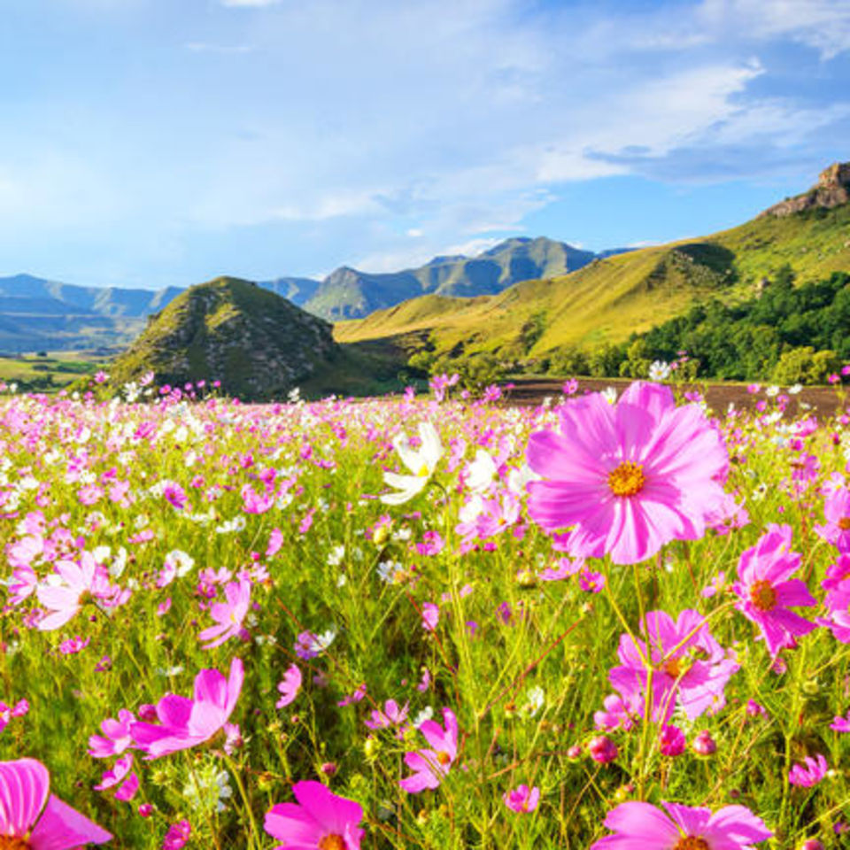 Selbstfahrerreise durch den Südosten Südafrikas & eSwatini