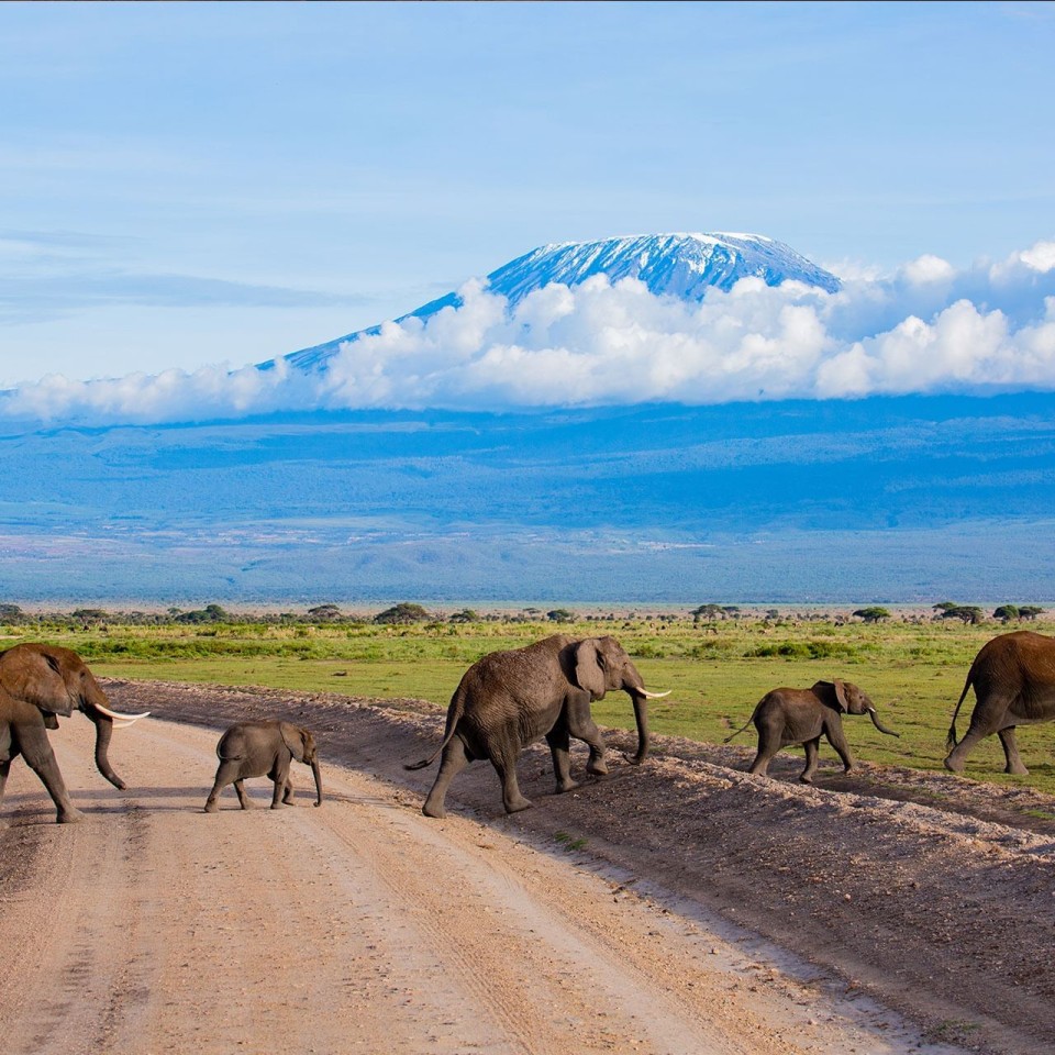 Amboseli Serena Safari Lodge