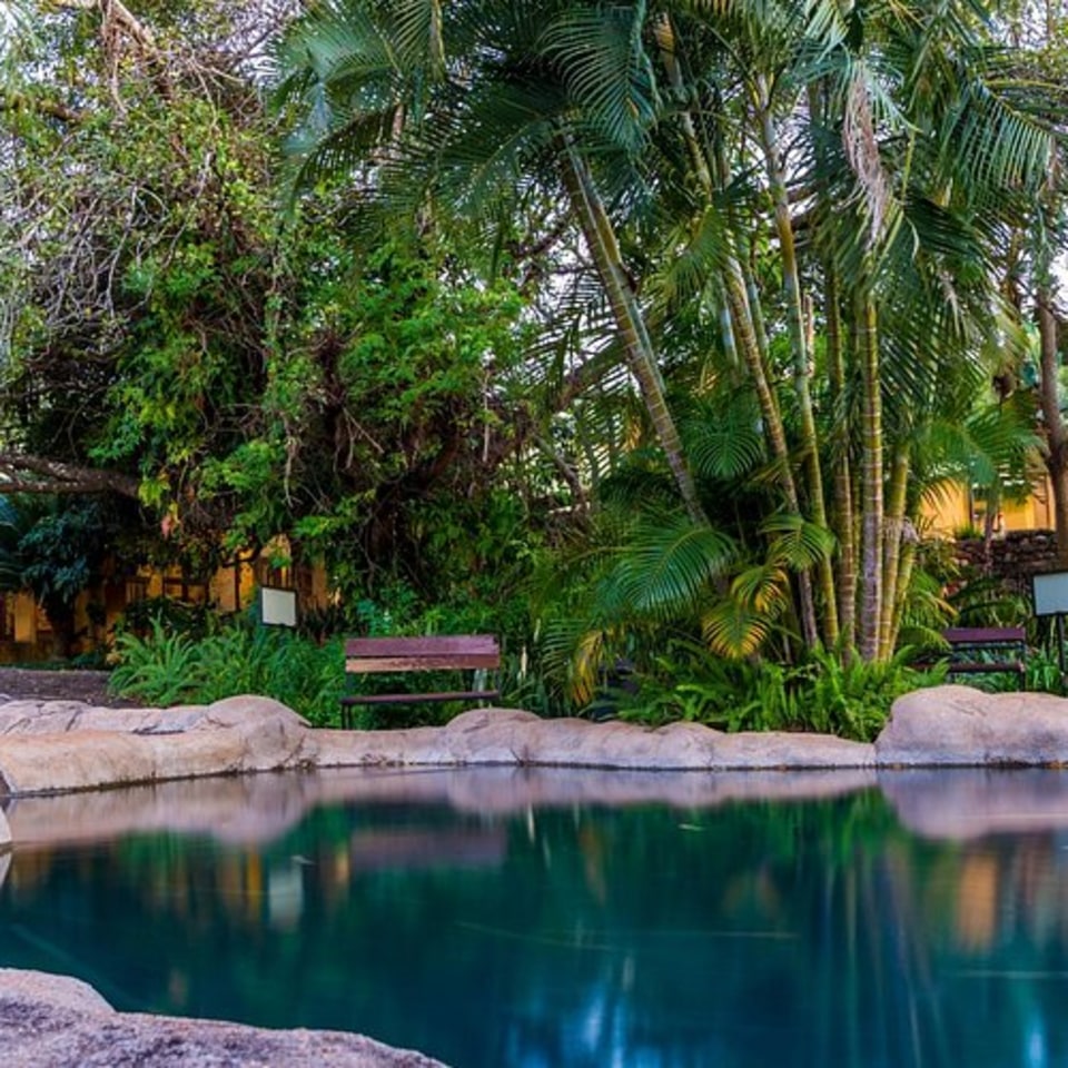 Gecko Lodge