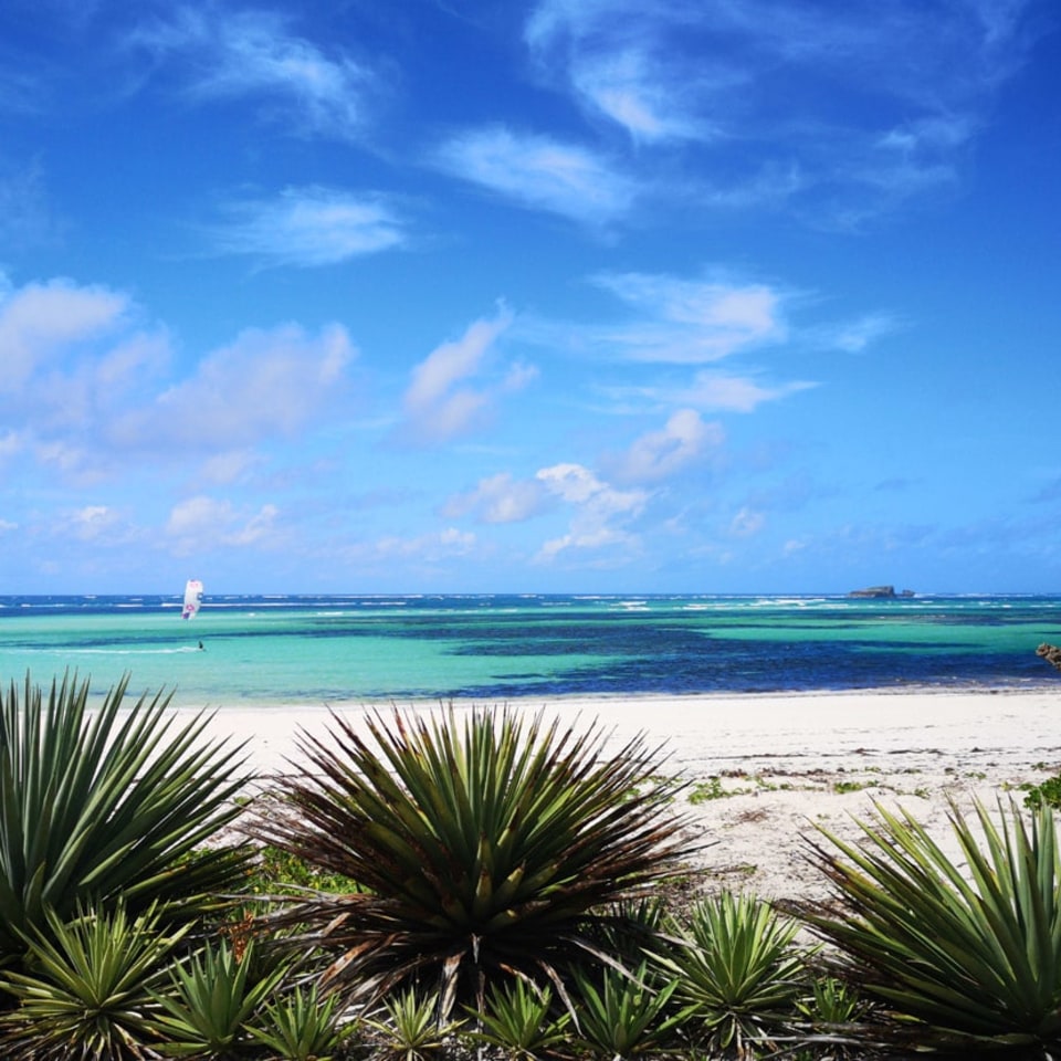 Gecko Resort Watamu