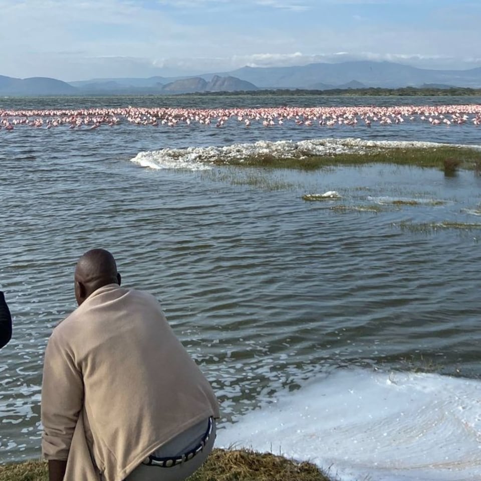 Great Rift Lodge Naivasha