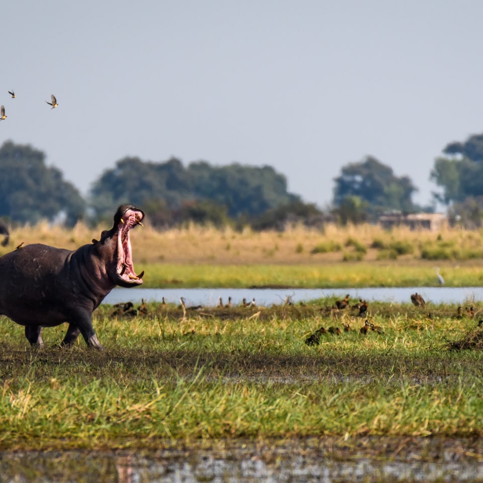 Namibias Naturwunder bis zu den Viktoriafällen