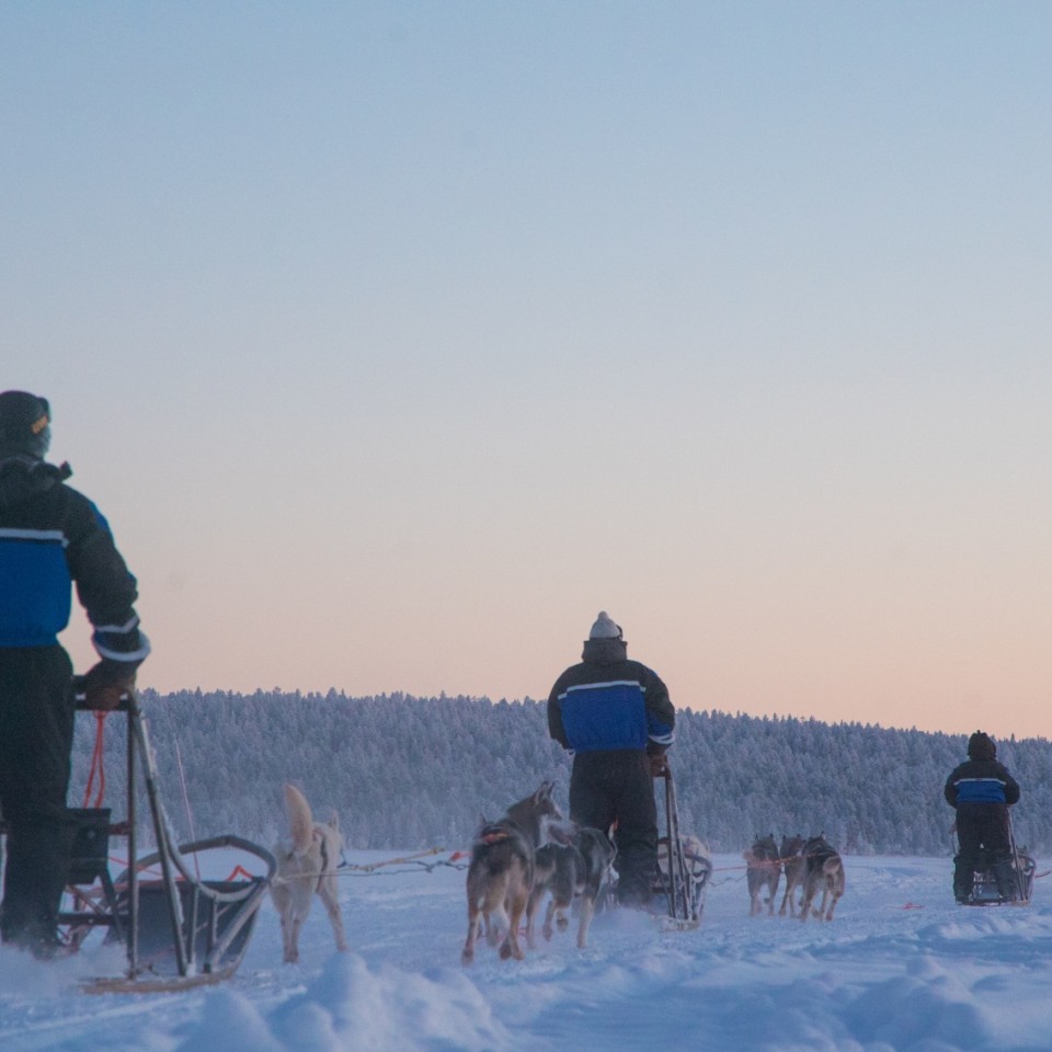 Hundeschlittentour als Gruppe