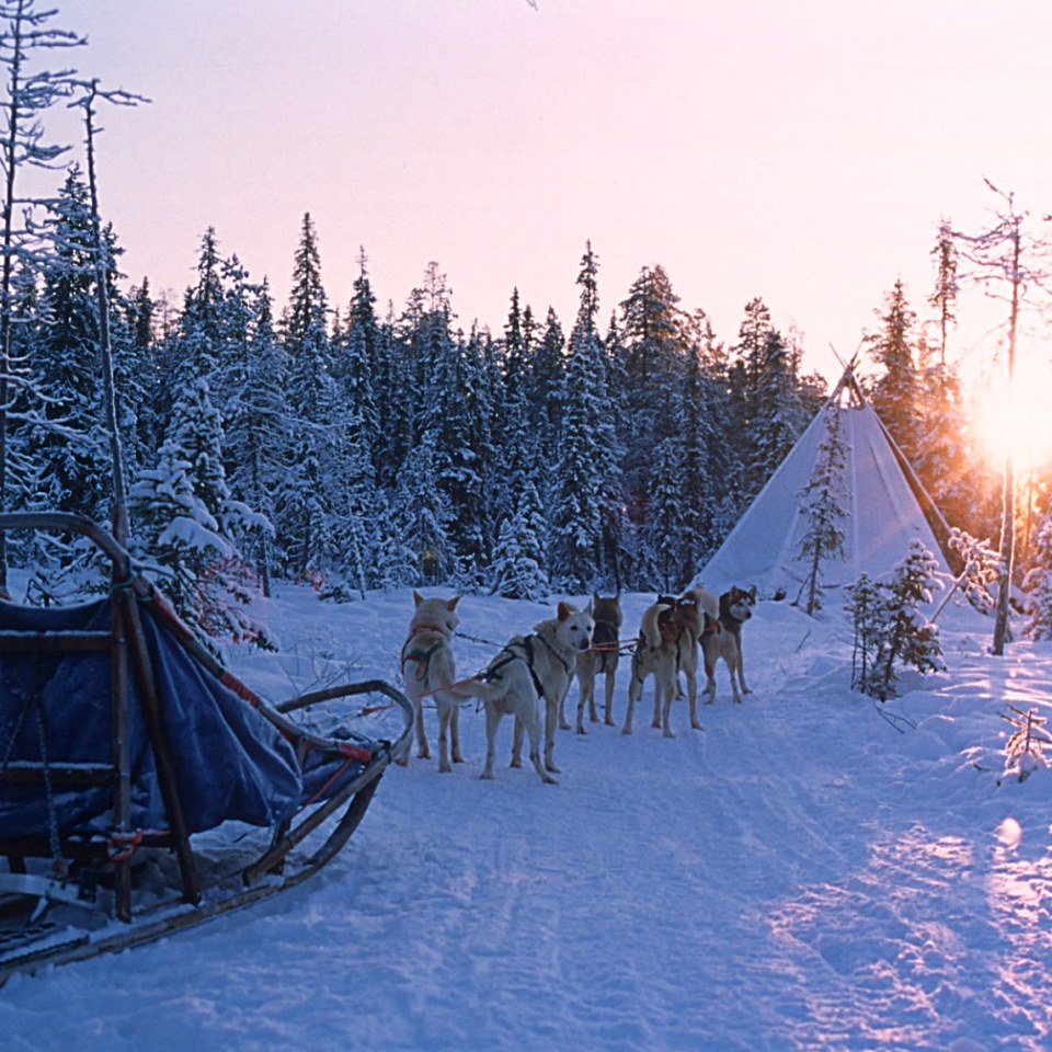 Schneemobil und Huskytour