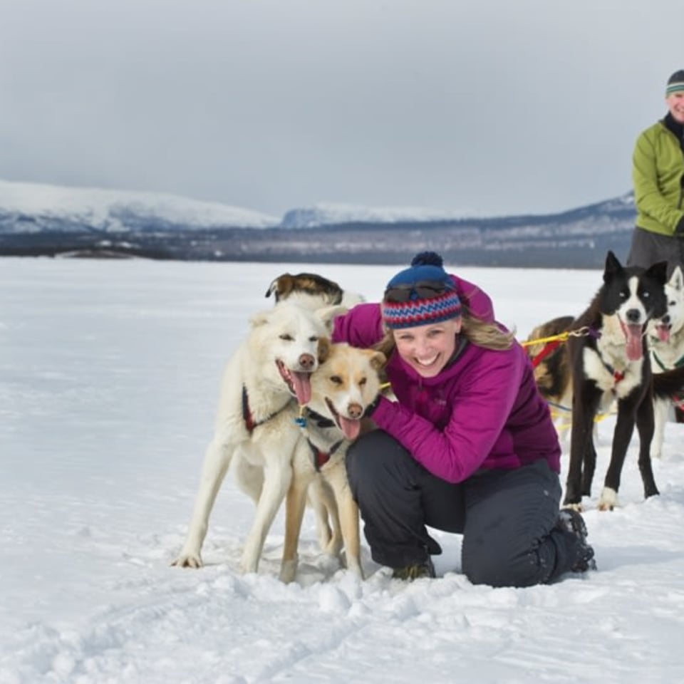 Pause mit den Huskys