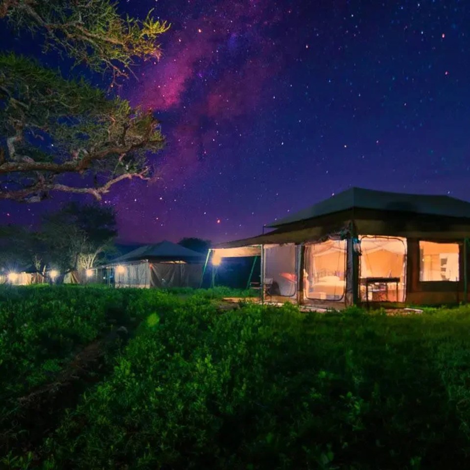 Ndutu – Tanzania Bush Camps