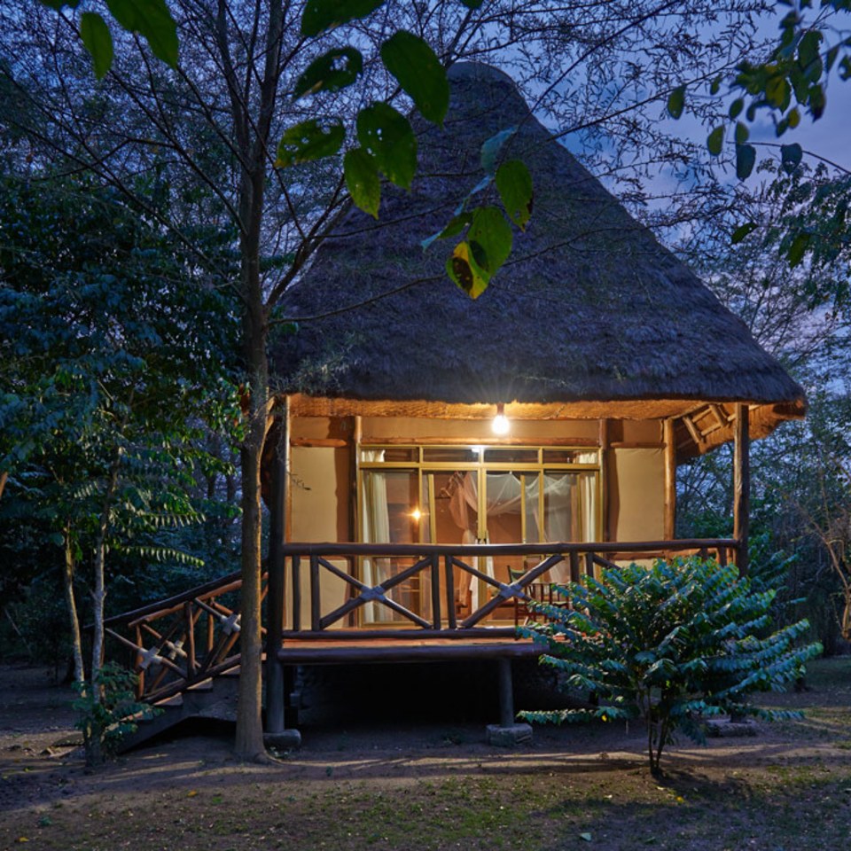 Ishasha Jungle Lodge