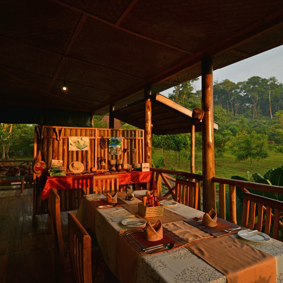Ishasha Jungle Lodge