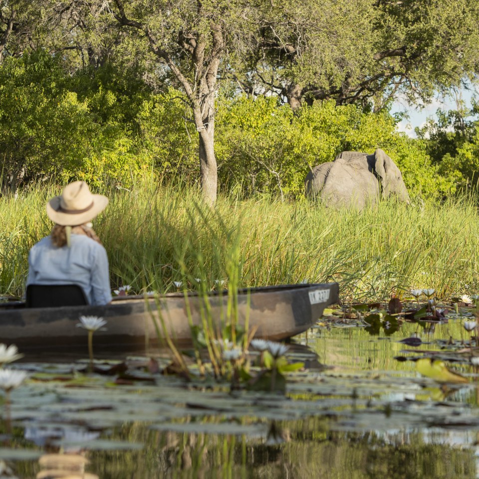 Kleingruppensafari vom Okavango Delta bis an die Viktoriafälle