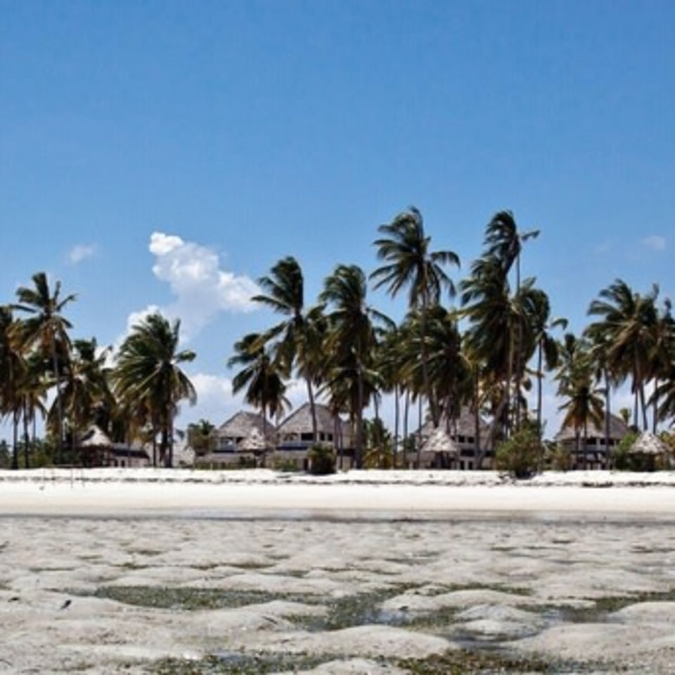 kijongo-bay-resort.jpg