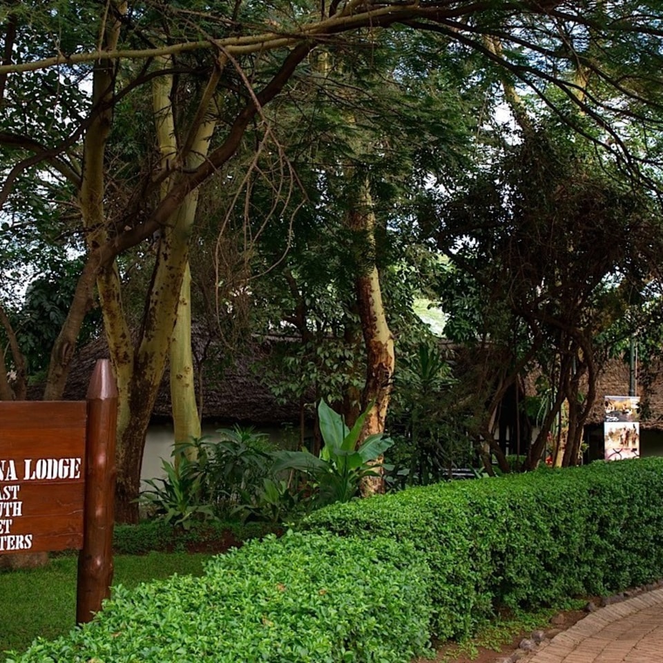 lake-manyara-serena-lodge.jpg