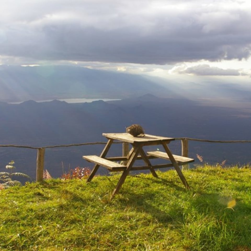 Mambo View Point Eco Lodge - Meine Welt Reisen