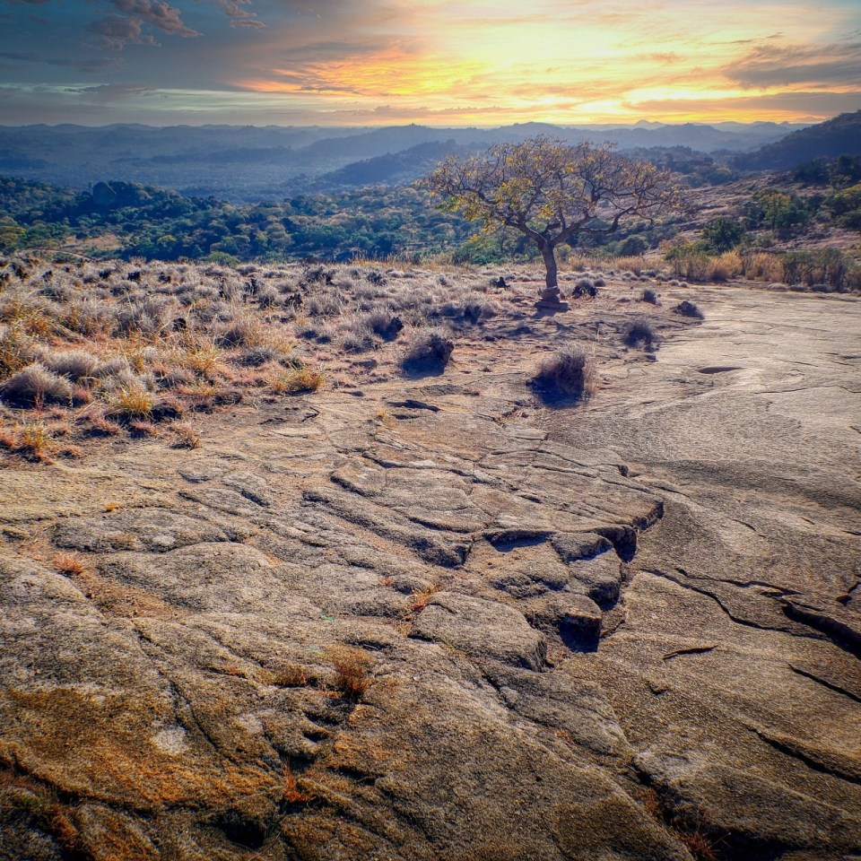 3-Länder Traumsafari
