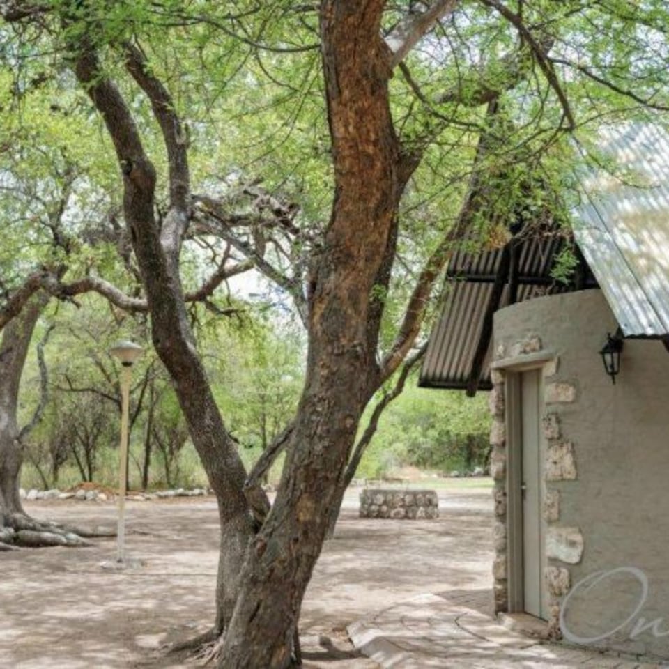 Onguma Leadwood Campsite